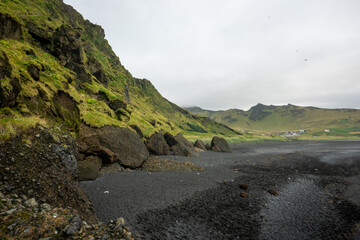 Iceland black sand beach in summer
