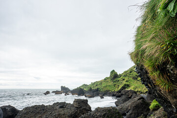 Iceland black sand beach in summer