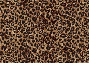 Leopard texture, animal print, african animal fur
