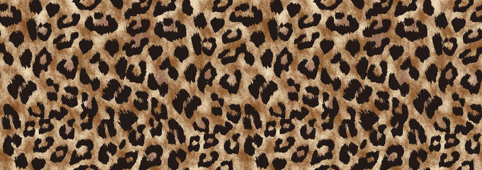 Leopard texture, animal print, african animal fur

