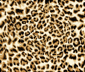 Leopard texture, animal print, african animal fur
