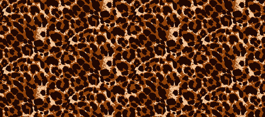 Leopard texture, animal print, african animal fur
