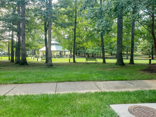 Concrete sidewalk in the park.