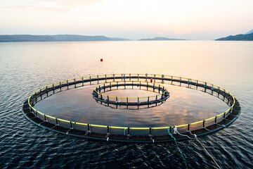 Fish farming techniques in Croatian sea waters near shore. Cutting-edge technology to enhance fish breeding and growth rates in fish farming industry