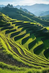 Fototapete Rund Lush green terraced rice fields in a mountainous landscape during early morning light © EdvvinStudios