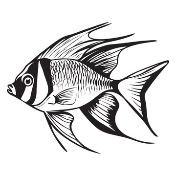 recommend clip art: A black silhouette of a Angelfish vector clip art, Clipart Hand drawn cartoon graphic design icon