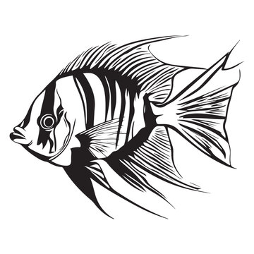 recommend clip art: A black silhouette of a Angelfish vector clip art, Clipart Hand drawn cartoon graphic design icon