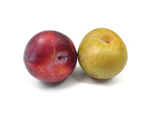 Photo of two fresh Vanilla plums (Prunus domestica), isolated on white background.