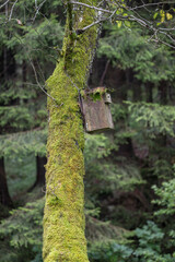 Old birdhouse on a tree trunk.
