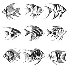 A black silhouette of a Angelfish vector clip art bundle, Clipart Hand drawn cartoon graphic design icon