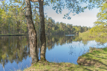 View of Meschera region in Russia