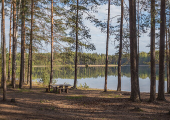 View of Meschera region in Russia