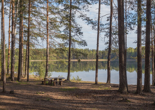 View of Meschera region in Russia