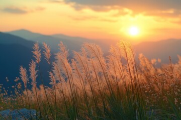 Fototapeta premium Soft Focus Mountain Grass at Sunset, Blowing in the Wind with a Blurred Backdrop – Nature’s Beauty