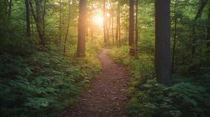 An inviting dirt path meanders through a lush, green forest, illuminated by the soft glow of the rising sun, suggesting peace, solitude, and connection with nature.