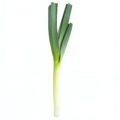 Obraz premium Fresh green leek showcasing its vibrant leaves and crisp stalk on a clean white background, ideal for culinary use