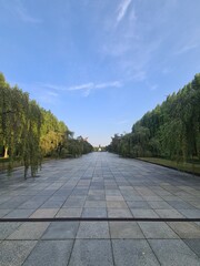 Pfad mit Bäumen an den Seiten und atmosphärischem Himmel zum sowjetischen Ehrenmal im Treptower Park, Berlin