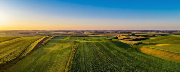 Obraz premium Breathtaking aerial view of expansive farmland with lush greenery and a clear blue sky during golden hour