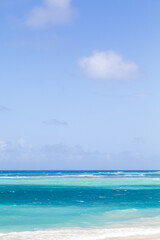 Fototapeta premium An empty vertical coastal landscape. Atlantic ocean coast, Dominican republic