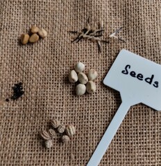 Flower and plant seeds on burlap