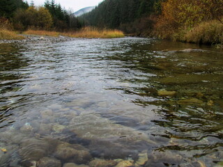 Calm Mountain River in Autumn