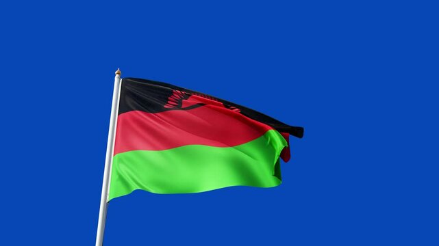 flag of malawi on a blue screen, no background, transparent background, waving in the wind, national symbol of  malawi, african country, tall flagpole, video of a flag