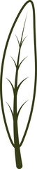 Leaf Outline Icon, Leaves Outline Illustration