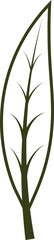 Leaf Outline Icon, Leaves Outline Illustration