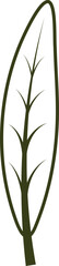 Leaf Outline Icon, Leaves Outline Illustration