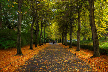 autumn in the park