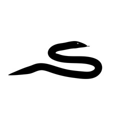 Snake icon on white background. Vector illustration.