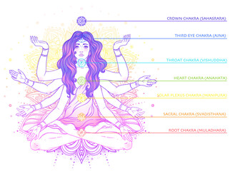 Beautiful woman with long hair and multiple hands sitting in lotus yoga position. Multi-armed goddess is Goddess Lakshmi, the Hindu goddess of wealth, fortune, and prosperity. Vector detailed isolated
