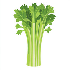 Flat design of a fresh green celery stalk, featuring clean lines and vibrant colors, on a white background.