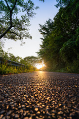 sunset in the park