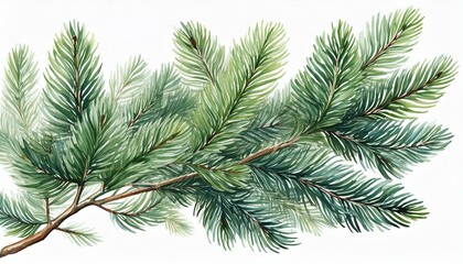 Obraz premium A minimalistic watercolor fir branch, with meticulously detailed needles in varying shades o