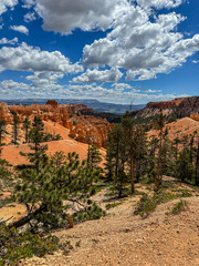Looking Into Bryce Canyon
