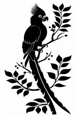 Fototapeta premium A cockatoo in a striking black silhouette rests on a branch adorned with leaves and berries. The design captures the bird's distinctive crest and elegant form elegantly.