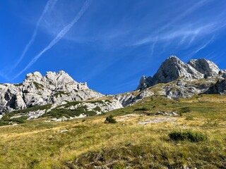 Alpine pastures around Mangart peak in the Julian Alps, Strmec na Predelu (Triglav National Park,...