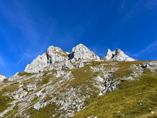 Alpine pastures around Mangart peak in the Julian Alps, Strmec na Predelu (Triglav National Park,...