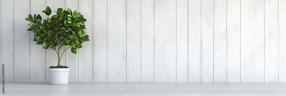 Poster A small potted plant sits in front of a white wooden wall.