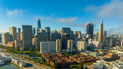 Fototapeta premium default