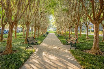 Trail in the park