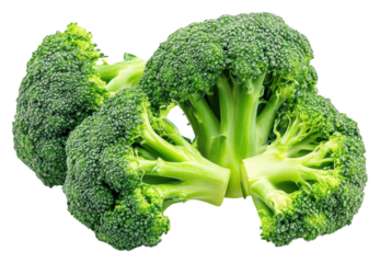Freshly harvested broccoli heads ready for cooking isolated on transparent background