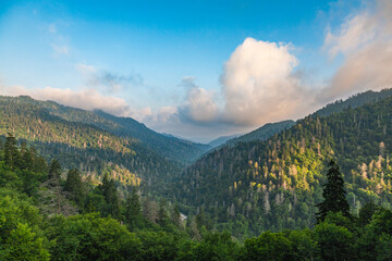 Morning Atmosphere in the Great Smoky Mountains