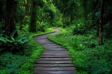 Obraz premium Walkway in the verdant forest , ai