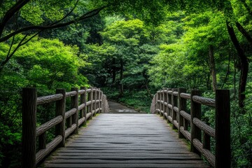 Walkway in the verdant forest , ai