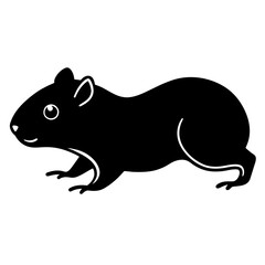 illustration of a rat