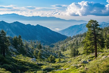 Fototapeta premium Landscape photo along the Pacific Crest Trail , ai