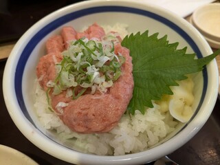 Negitoro Don (Minced Raw Tuna on Rice) 