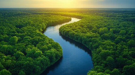 Fototapeta premium Serene Aerial View of Meandering River Cutting Through Verdant Lush Forest Canopy